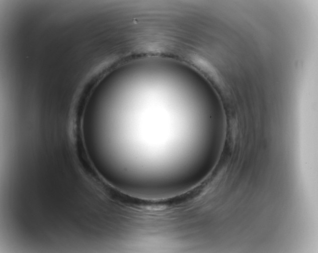 X0000088460680200706051325