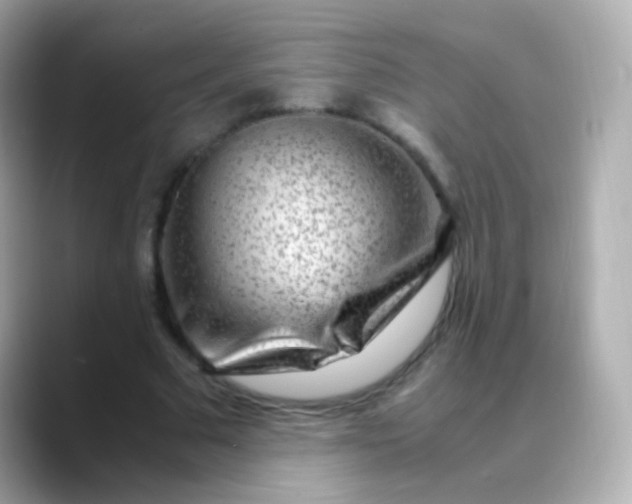 X0000088460681200706051325