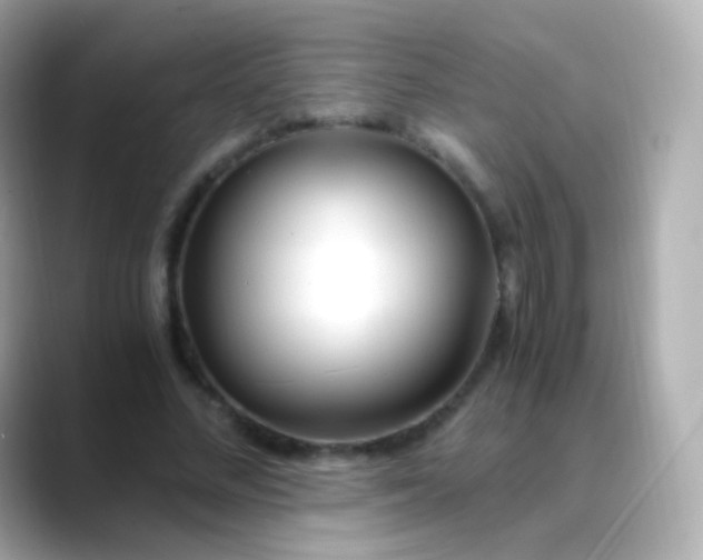 X0000088460684200706051324