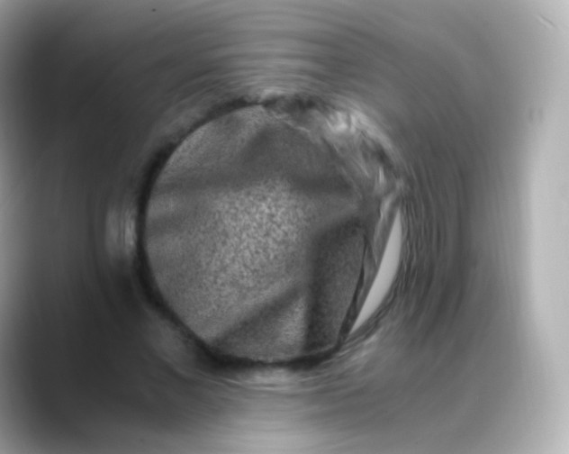 X0000088460685200706051324