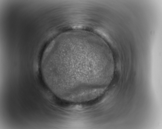 X0000088460687200706051324