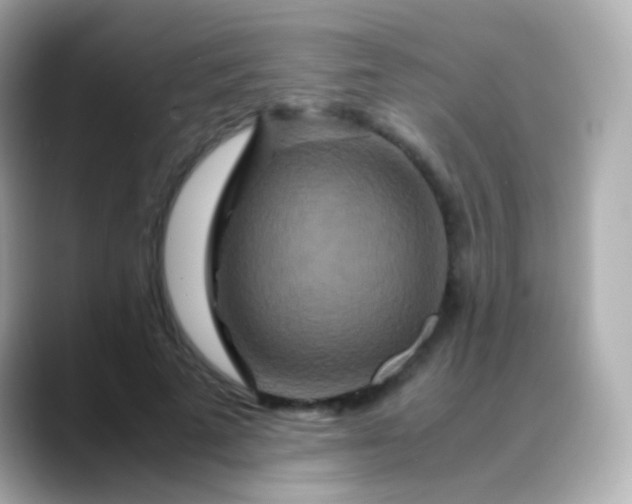 X0000088460689200706051324