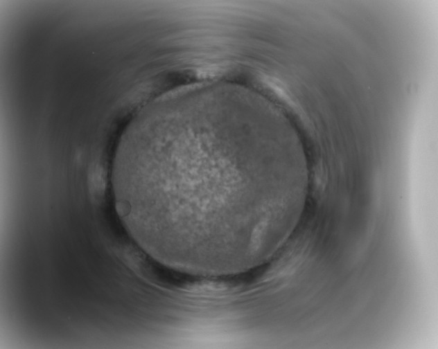 X0000088460691200706051324