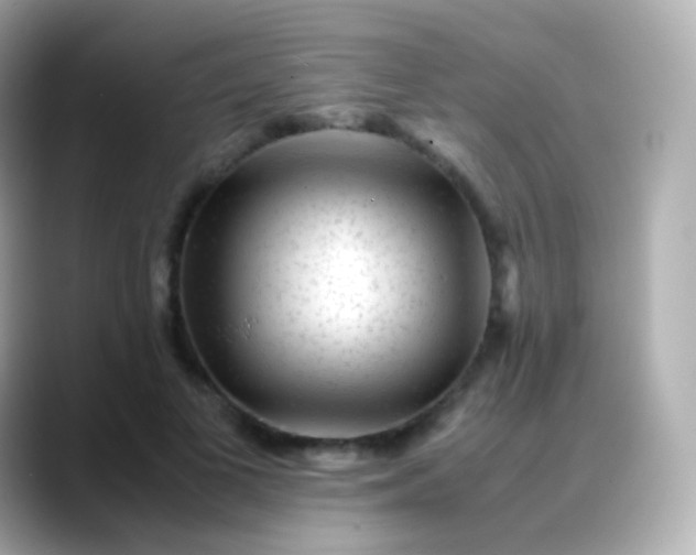 X0000088460693200706051324