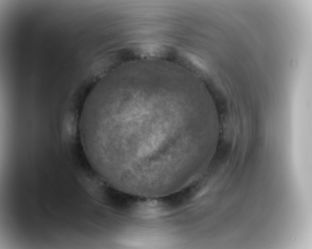 X0000088460695200706051324