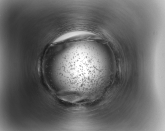 X0000088460696200706051324