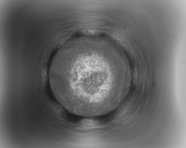 X0000088460699200706051324