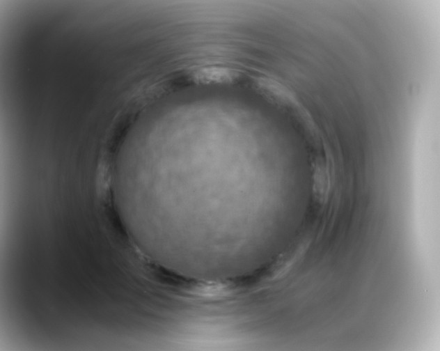 X0000088460701200706051324