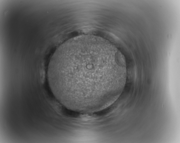 X0000088460703200706051324