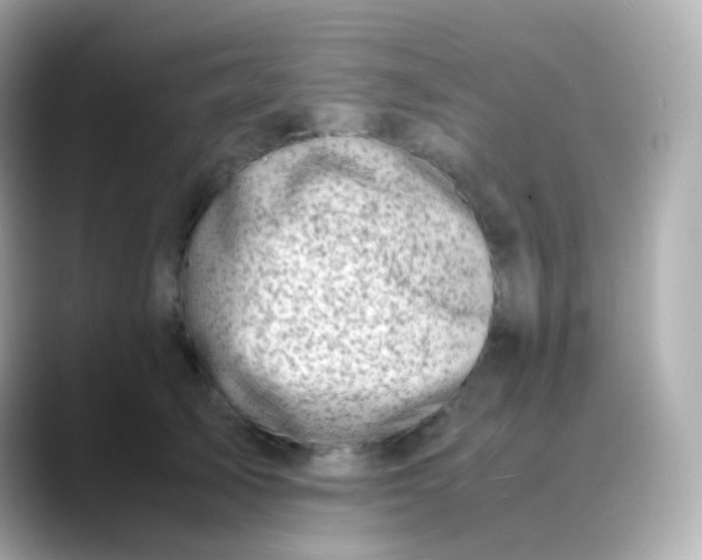 X0000088460705200706051324