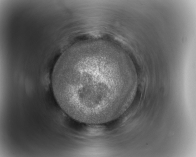 X0000088460707200706051324