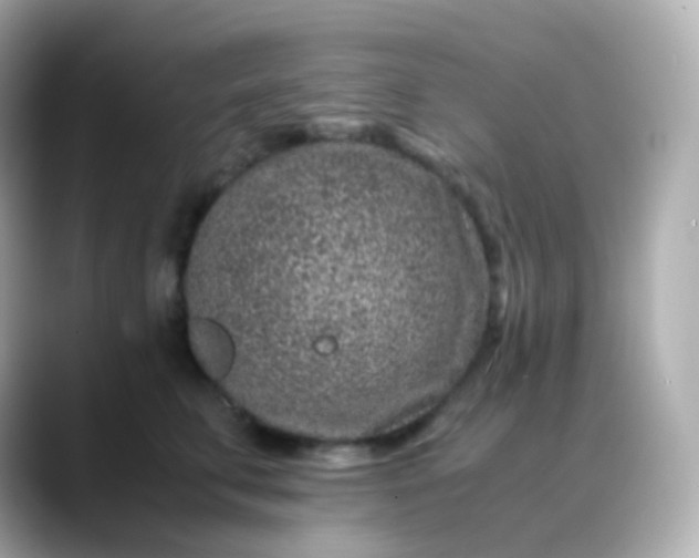 X0000088460711200706051324