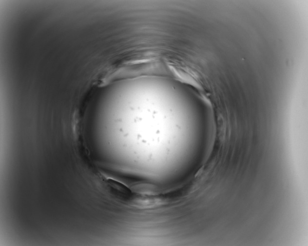 X0000088460712200706051324