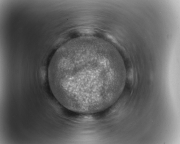 X0000088460715200706051324