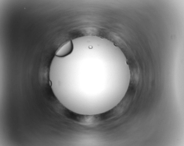 X0000088460717200706051324