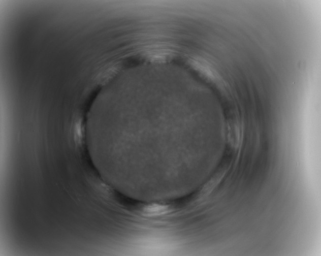 X0000088460718200706051324