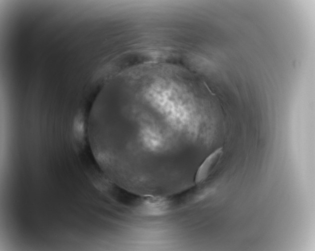 X0000088460720200706051324