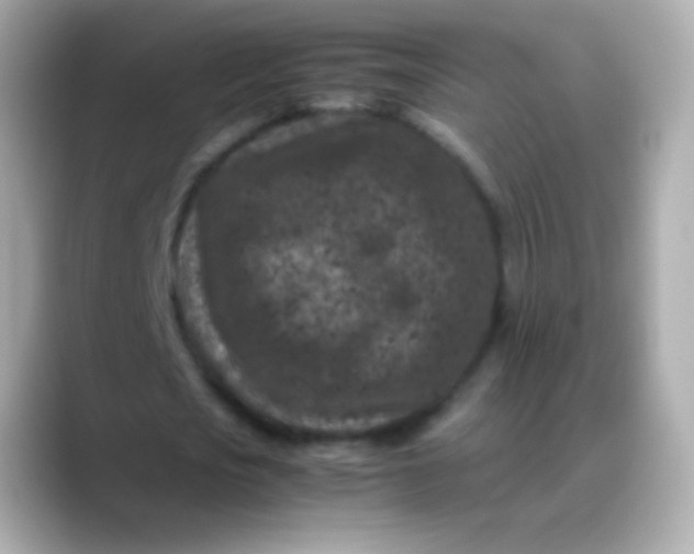 X0000088460721200706051323