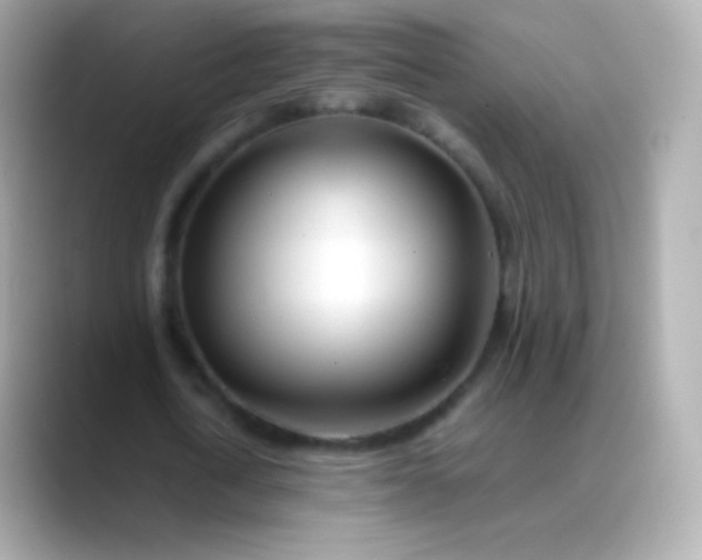 X0000088460722200706051323