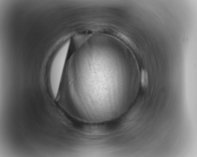 X0000088460723200706051324