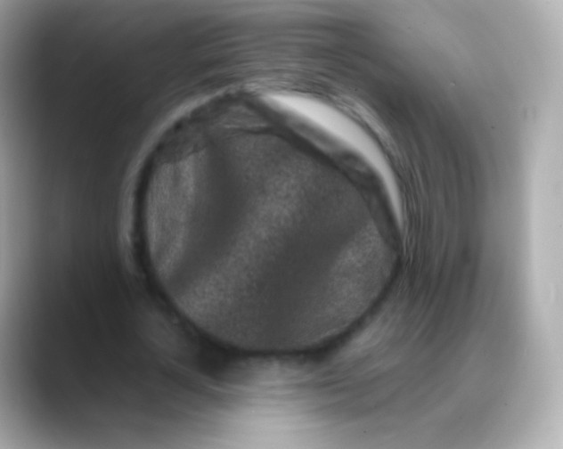 X0000088460724200706051324