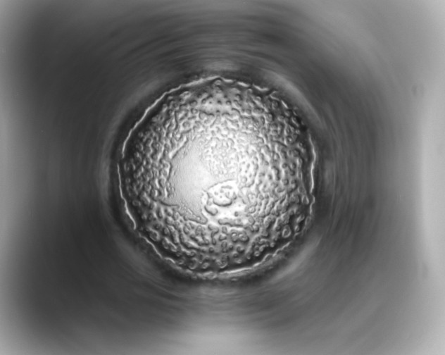 X0000088460725200706051324