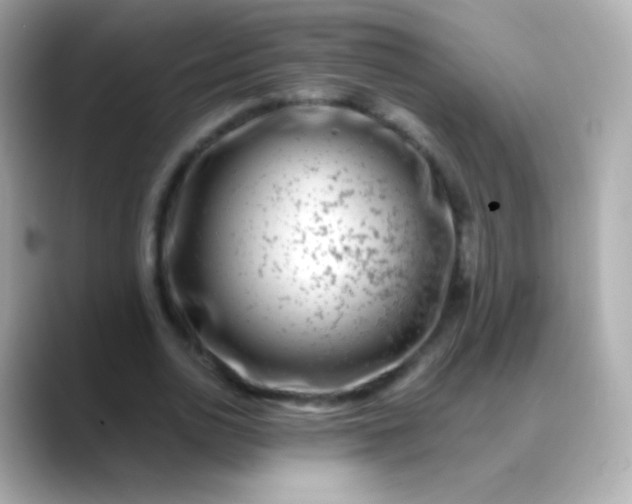 X0000088460726200706051324