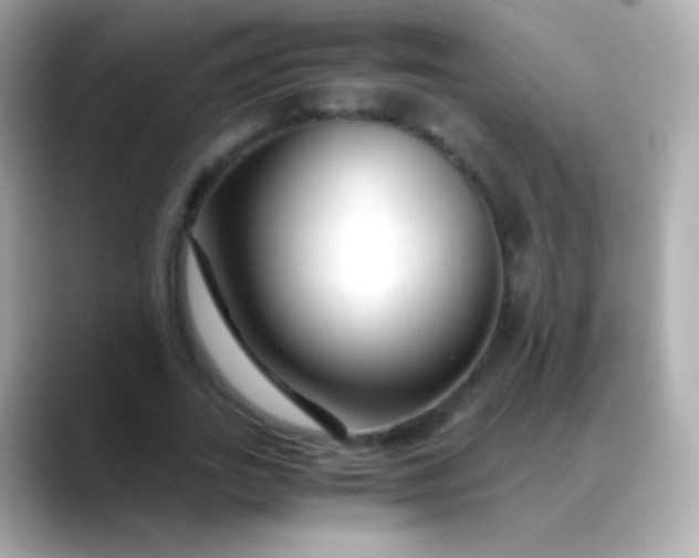 X0000088460727200706051324