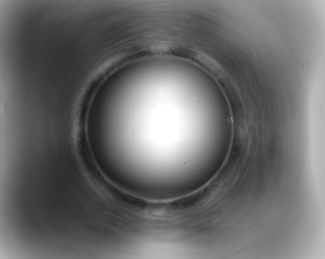 X0000088460728200706051324