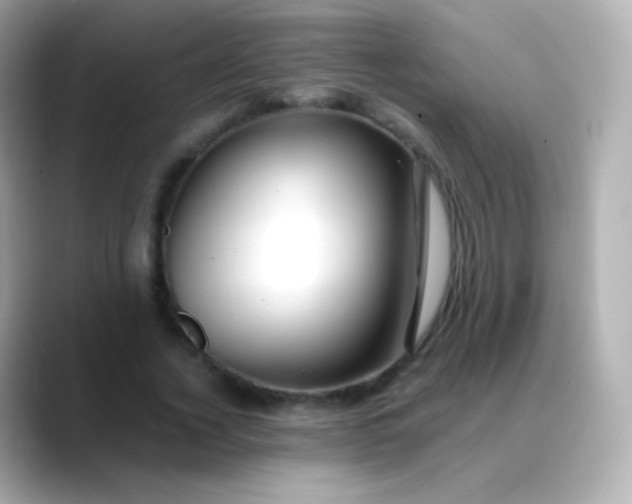 X0000088460732200706051324