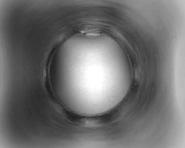 X0000088460733200706051324