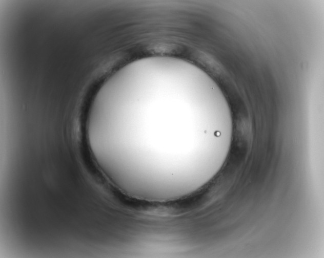 X0000088460734200706051324