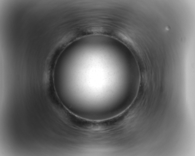 X0000088460735200706051324