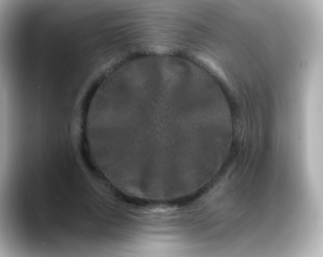 X0000088460736200706051324