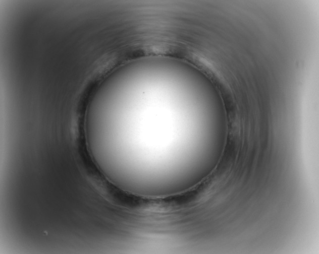 X0000088460738200706051324