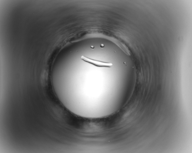 X0000088460739200706051324