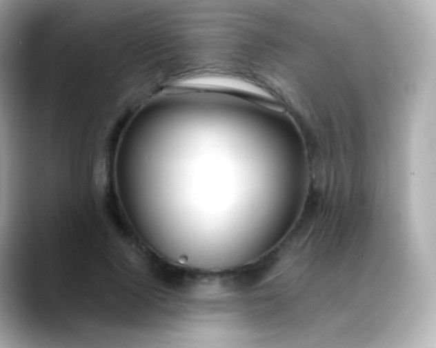 X0000088460740200706051324