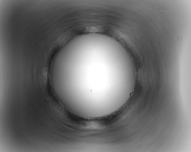 X0000088460741200706051324