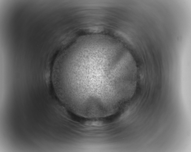 X0000088460745200706051324