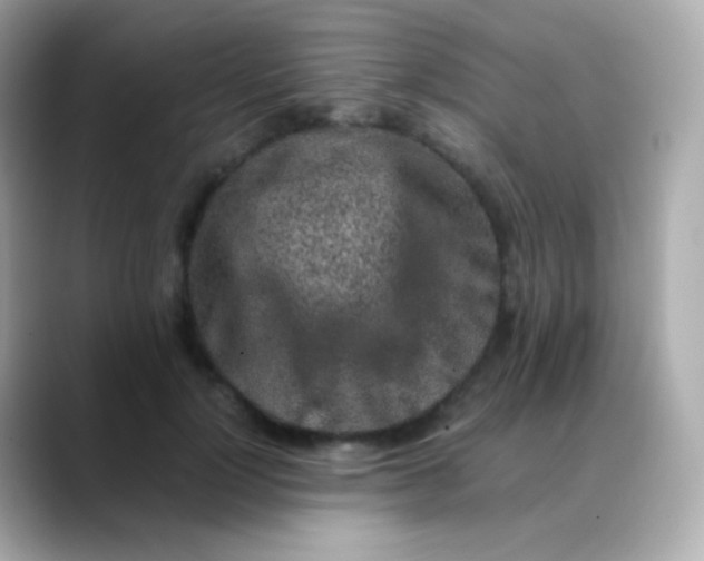 X0000088460748200706051324