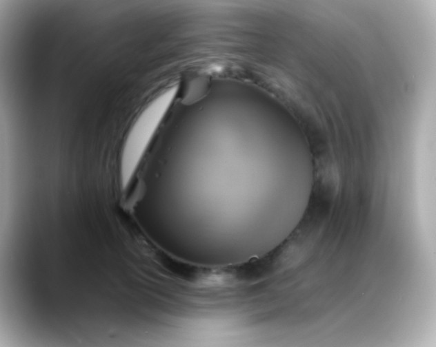 X0000088460754200706051324