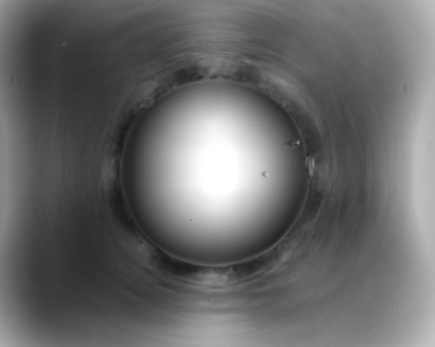 X0000088460756200706051324