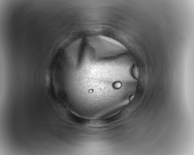 X0000088460758200706051324