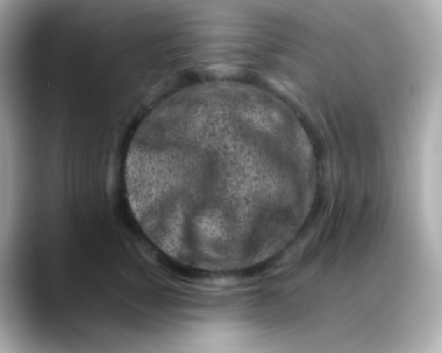 X0000088460760200706051324