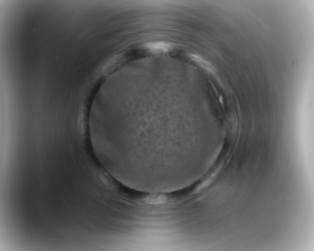 X0000088460762200706051324