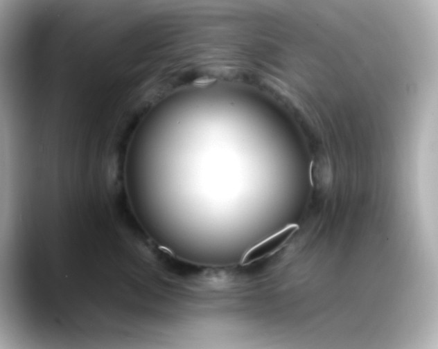 X0000088460764200706051324