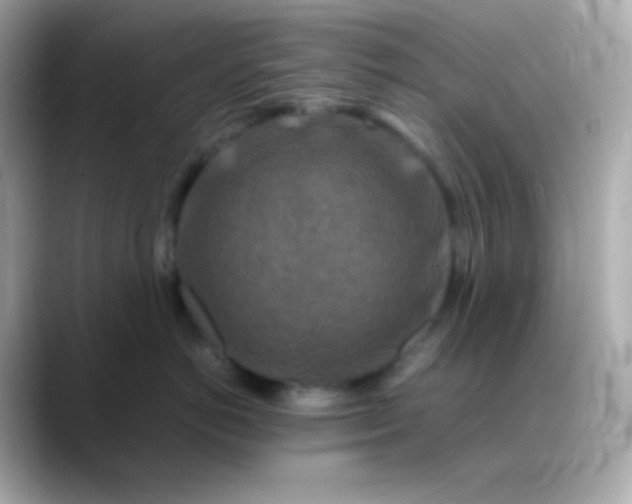 X0000088460766200706051324