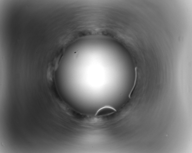 X0000088460768200706051324