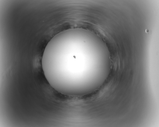 X0000088460770200706051323