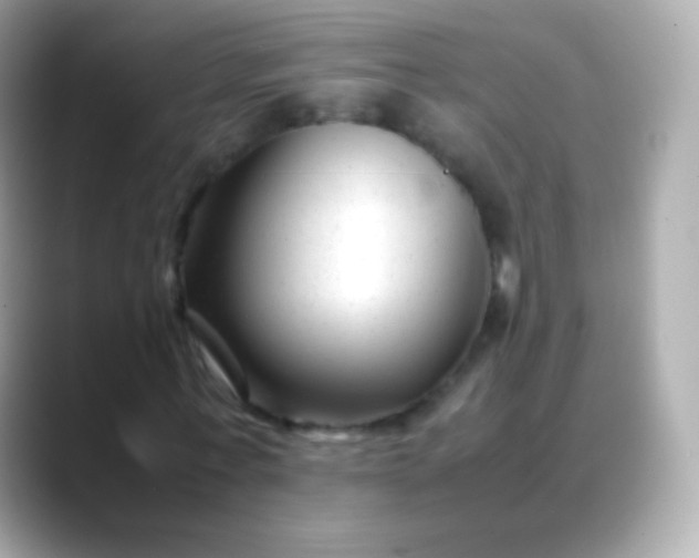 X0000088460771200706051323